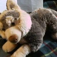 5 Peluche NUOVI:grandeHusky,Gufo,Coniglio,Cucciolo