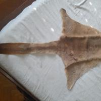 Tappeto pelle di canguro autentica Australia