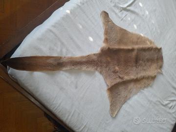 Tappeto pelle di canguro autentica Australia