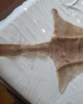 Tappeto pelle di canguro autentica Australia