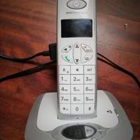 Telefono Cordless Motorola D501