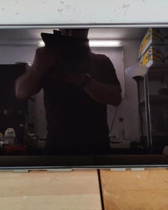 Schermo LCD LM201WE2 IMAC 20 Ricambio Apple