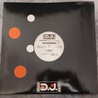 Disco Vinile Musica Dance anni 90