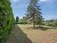 Immagine 29