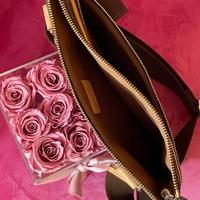 Borsa Louis Vuitton (mai usata)