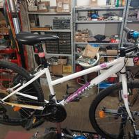 Mtb 26 Donna