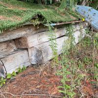 Travi legno per coperture solai Pergolato