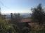 Immagine 8