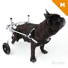 Carrello per cane disabile