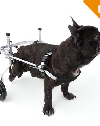 Carrello per cane disabile