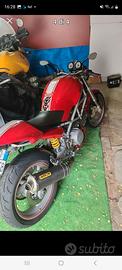 ducati monster 