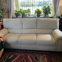 Coppia di divani Natuzzi