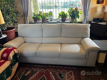 Coppia di divani Natuzzi