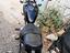 Immagine 6