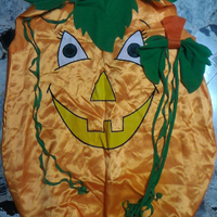 Costume Halloween (Zucca)