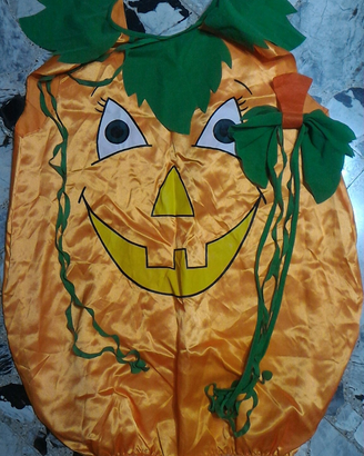 Costume Halloween (Zucca)