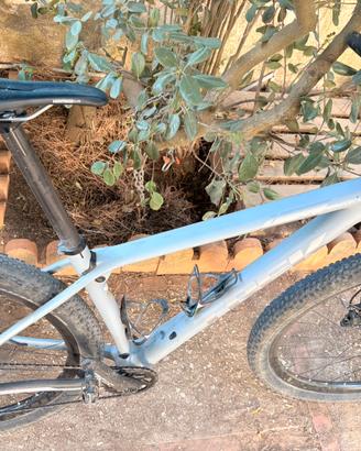 Trek procaliber 9.8