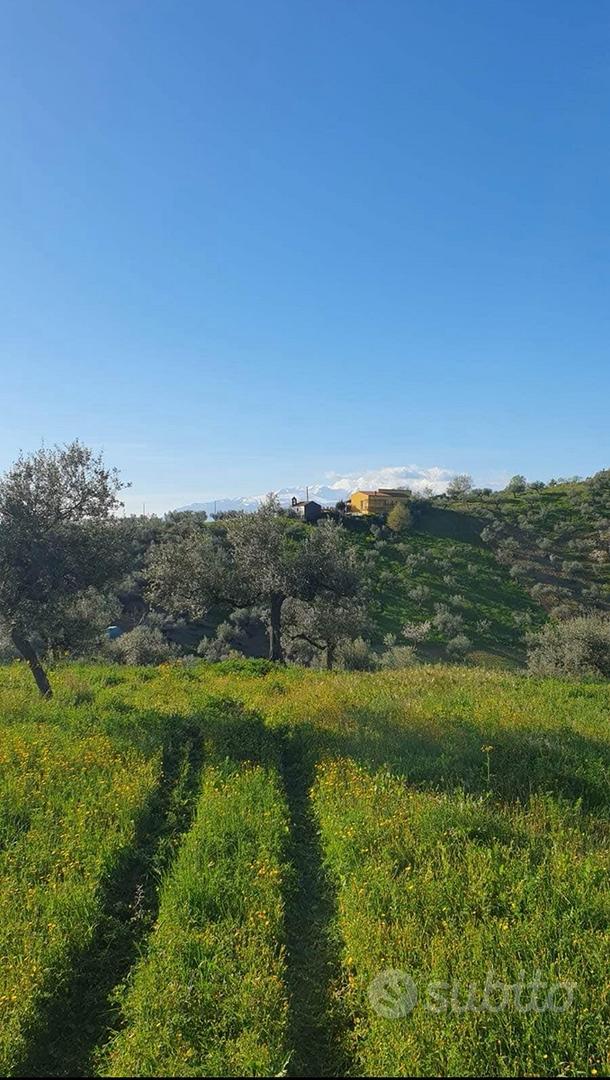 Terreno agricolo - Vista 3