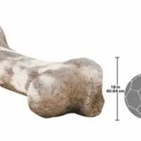 Decorazione accattivante