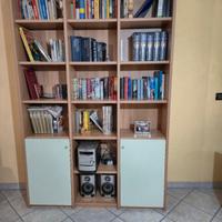 Libreria grande moderna con ante – molto capiente