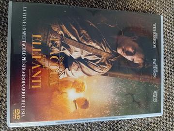 Come l' acqua per gli elefanti dvd