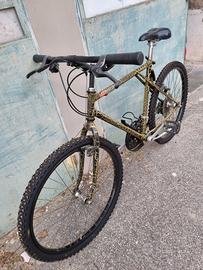 bicicletta mountain bike