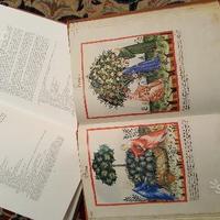 Tacuinum sanitatis in medicina - Salerno Edit