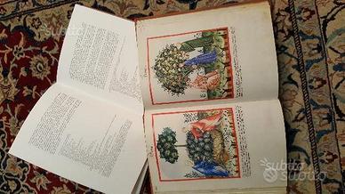 Tacuinum sanitatis in medicina - Salerno Edit