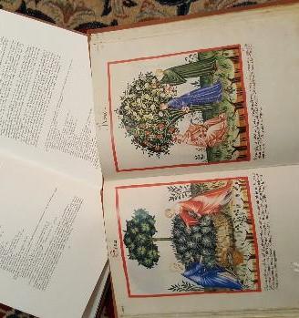 Tacuinum sanitatis in medicina - Salerno Edit