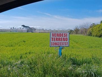 Terreno 3 ettari sabaudia