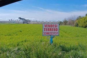 Terreno 3 ettari sabaudia