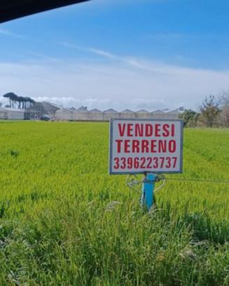 Terreno 3 ettari sabaudia