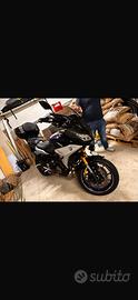 Tracer gt 900