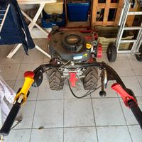 Trinciasarmenti TR 600 Meccanica Benassi