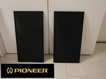 Pioneer cs 990 griglie parapolvere 