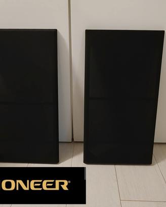 Pioneer cs 990 griglie parapolvere 