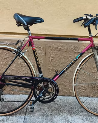 City bike Vicini 