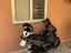 Immagine 4