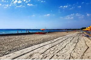 Alimini 2- mese di giugno