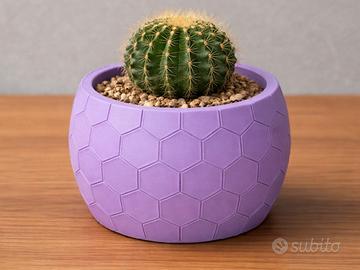 Vaso di design per piante grasse o finte