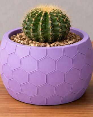 Vaso di design per piante grasse o finte
