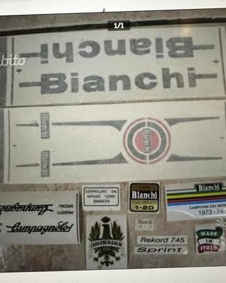 Serie adesivi per rifacimento Bianchi Rekord 745