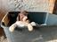 Immagine 1