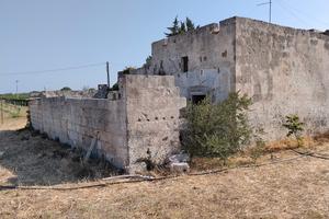 terreno agricolo 