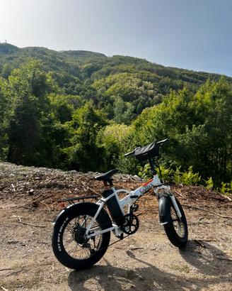 BICI ELETTRICA LEM MOTOR 250W