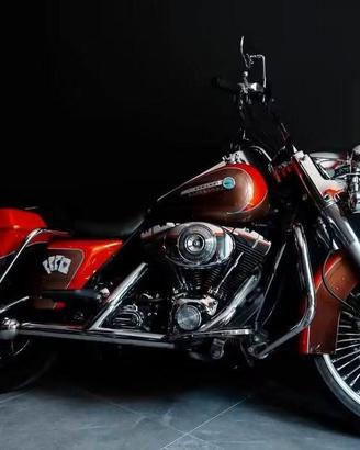 Harley-davidson 1450 Road King