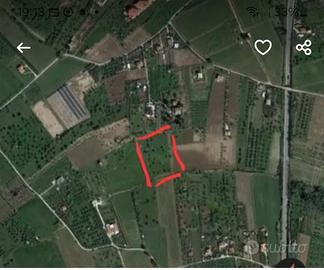 Terreno agricolo di circa un ettaro