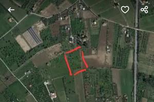 Terreno agricolo di circa un ettaro