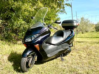 Honda Forza usata in vendita in Veneto e vicinanze