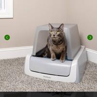 Pet Safe usata ma come nuova!